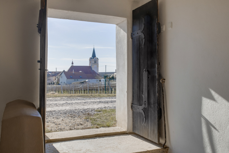 Vineyard with a historic wine cellar – Šatov, Jihomoravský kraj