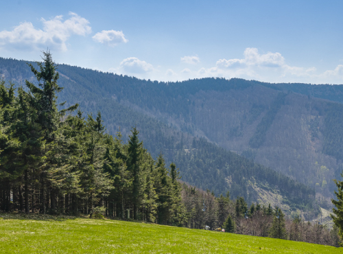 Sale - Plot for the construction of a holiday home - Pustevny, Beskydy