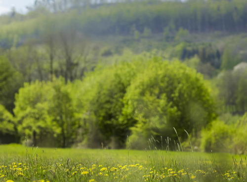 Sale - Plot for the construction of family house, Pstruží, Beskydy