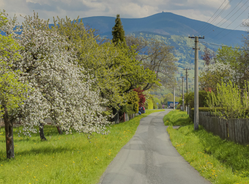 Sale - Plot for the construction of family house, Pstruží, Beskydy