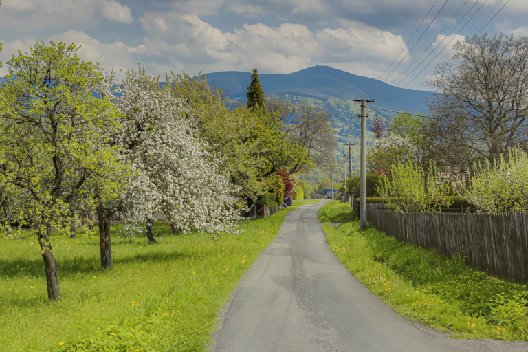 Plot for the construction of family house, Pstruží, Beskydy