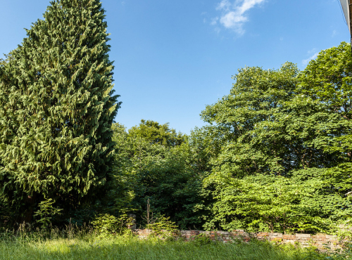 Sale - Castle with land and project, Hradec Králové region - Žacléř