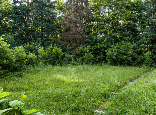 Sale - Castle with land and project, Hradec Králové region - Žacléř