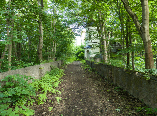 Sale - Castle with land and project, Hradec Králové region - Žacléř