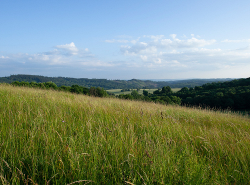 Sale - Castle with land and project, Hradec Králové region - Žacléř
