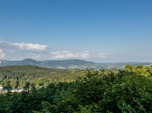 Sale - Castle with land and project, Hradec Králové region - Žacléř