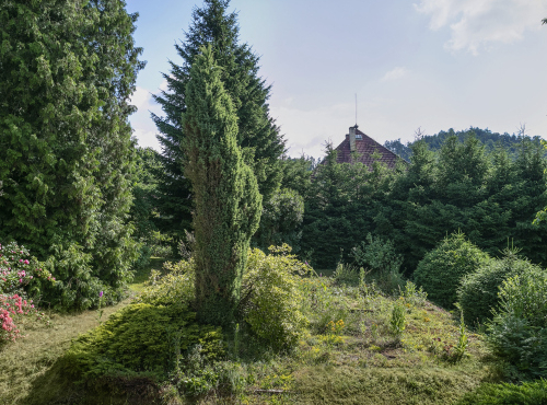 Sale - Building plot with fully grown garden, Nespeky - Benešov