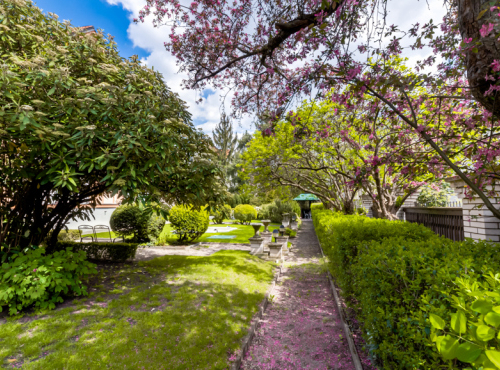 Sale - Villa with a garden, Prague 10 - Vinohrady