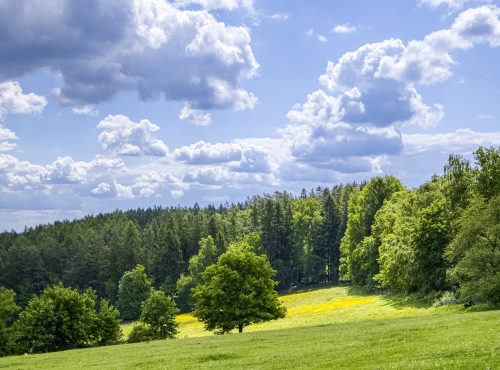 Prodej - Usedlost s prvorepublikovou vilou, Středočeský kraj - Kácov