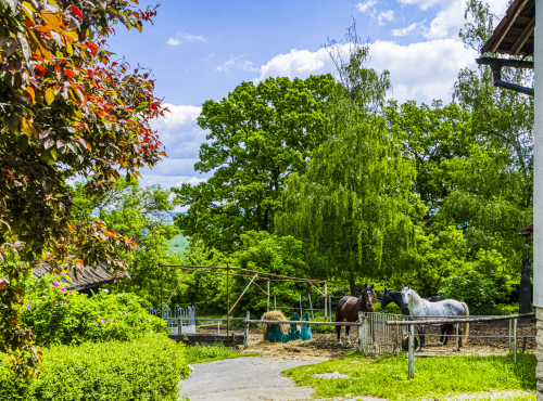 Prodej - Usedlost s prvorepublikovou vilou, Středočeský kraj - Kácov