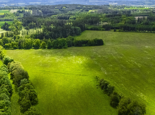 Prodej - Usedlost s prvorepublikovou vilou, Středočeský kraj - Kácov