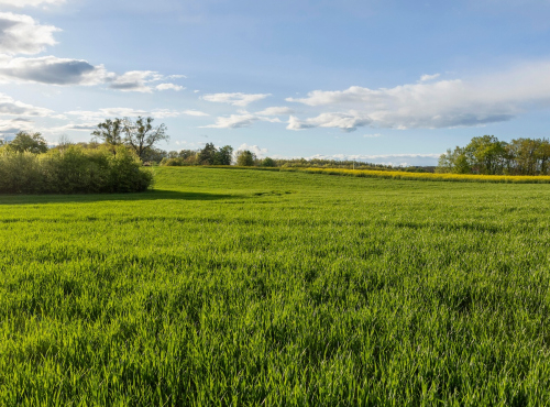 Sale - Building plot with a project, East Bohemia - Česká Skalice