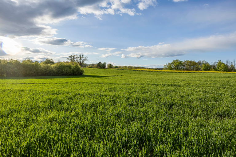 Pozemek s projektem na výstavbu, Východní Čechy - Vodní nádrž Rozkoš