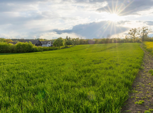 Sale - Building plot with a project, East Bohemia - Česká Skalice