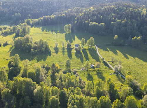 Sale - Building land in Šumava National Park, South Bohemia - Nová Pec