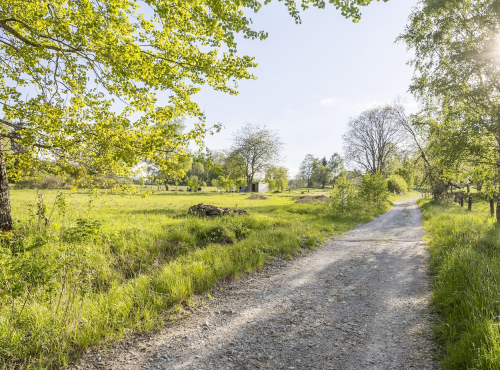 Sale - Building land in Šumava National Park, South Bohemia - Nová Pec