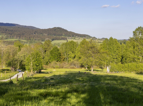 Sale - Building land in Šumava National Park, South Bohemia - Nová Pec