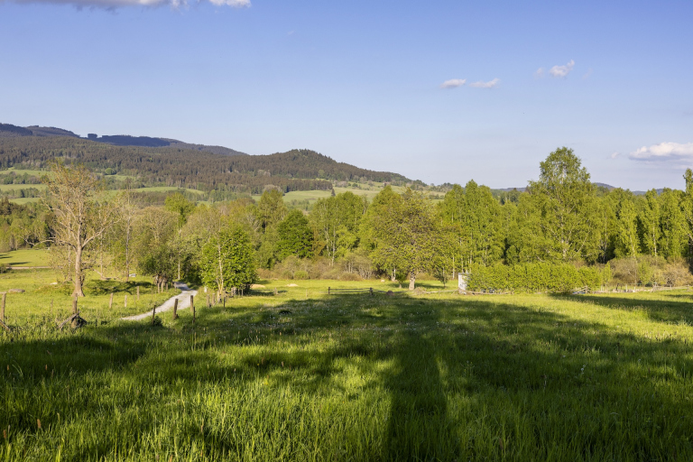 Stavební pozemek v NP Šumava Jižní Čechy - Nová Pec