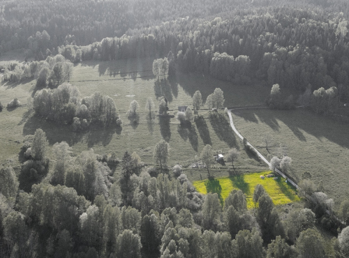 Sale - Building land in Šumava National Park, South Bohemia - Nová Pec