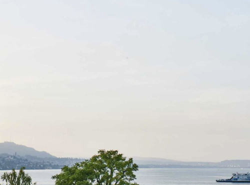 Generous apartment with lake view, Switzerland - Horgan