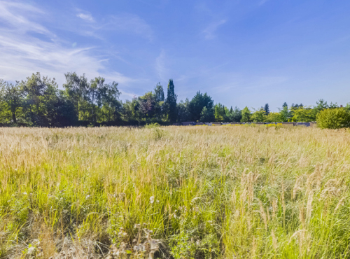 Building plot, Jesenice - Osnice, Prague - West