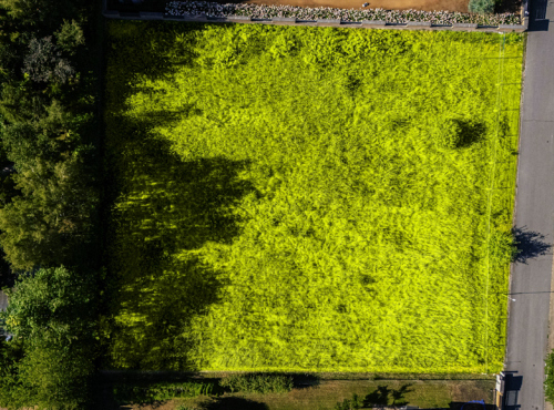 Building plot, Jesenice - Osnice, Prague - West