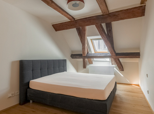 Duplex apartment in the historical centre, Prague 1 - Old Town