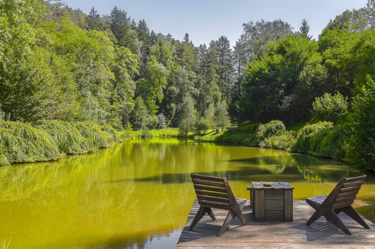 Renovated historical mill, Central Bohemia Region - Rabyně