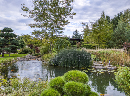 Sale - Premium modern villa, Prague-west, Osnice