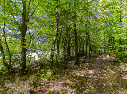 Sale - Building plot, Prague-west, Mníšek pod Brdy