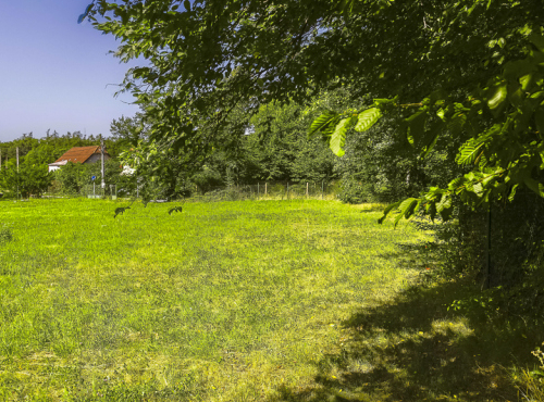 Sale - Building plot, Prague-west, Mníšek pod Brdy