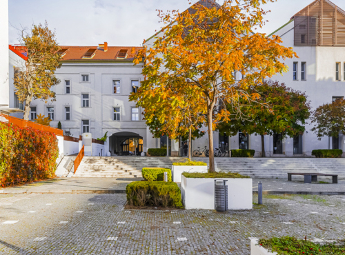 Sale - Apartment 3+kk with two balconies, Prague 10 - Vinohrady