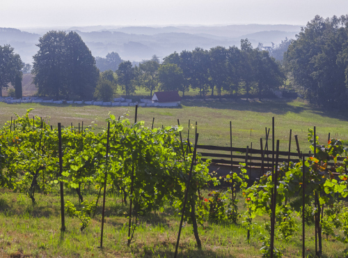 Prodej - Stavební pozemek v Posázaví, Středočeský kraj - Drahňovice