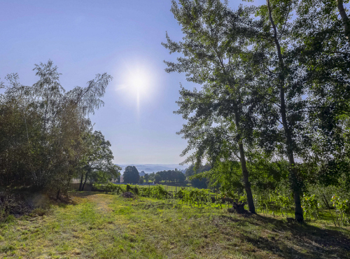 Prodej - Stavební pozemek v Posázaví, Středočeský kraj - Drahňovice