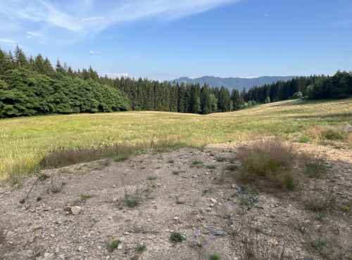Building land in the Beskydy Mountains, Moravian-Silesian Region