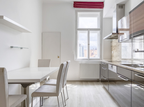 Spacious 4+1 apartment, Prague 2 - Vinohrady