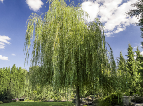 Sale - Family villa 6+kk with swimming pool, Prague-East, Říčany