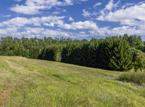 Sale - Building plot, Central Bohemia - Znosim, Vlašim