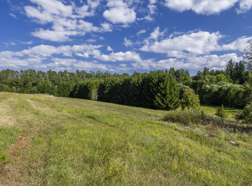 Sale - Building plot, Central Bohemia - Znosim, Vlašim
