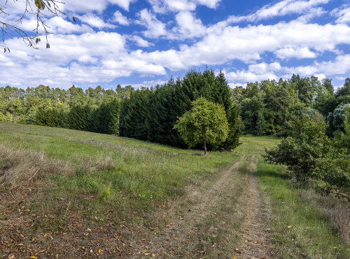 Sale - Building plot, Central Bohemia - Znosim, Vlašim