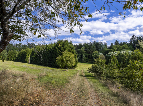 Sale - Building plot, Central Bohemia - Znosim, Vlašim