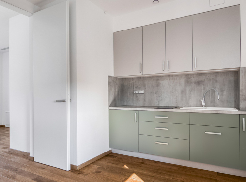 Sale - Modern villa, Prague 5, Homolka