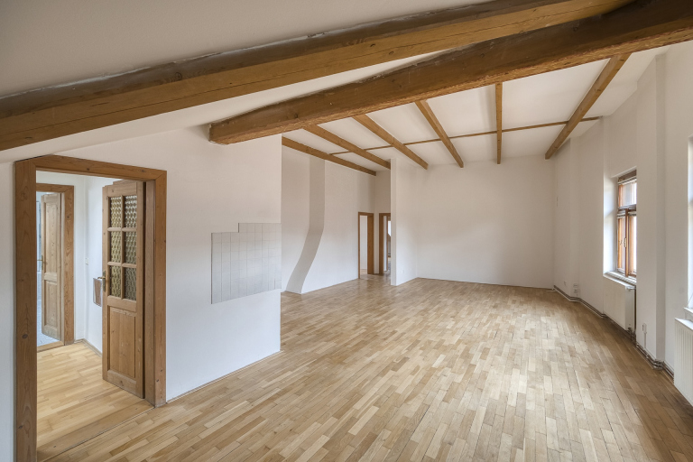 4+kk apartment in historical centre, Prague 1 - Old Town