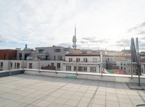 Sale - Duplex apartment 4+kk, Prague 3 - Žižkov
