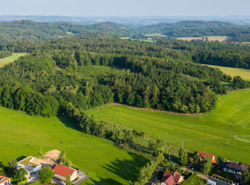 Sale - Family house with garden, Prague-East, Všedobrovice