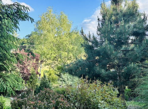 Sale - Family house with garden, Prague-East, Všedobrovice