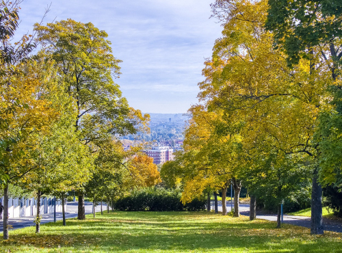 Sale - Residential Project Hanspaulka Living, Prague 6 – Šárecká