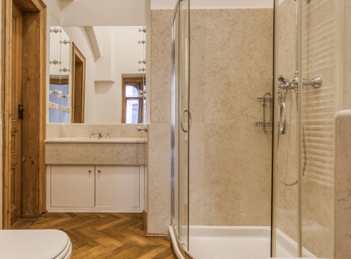 Rent - Generous apartment 5+1, Prague 2 - Vinohrady