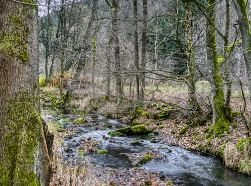 Sale - Vast land in the historic Pirkenhammer area, Karlovy Vary- Březová