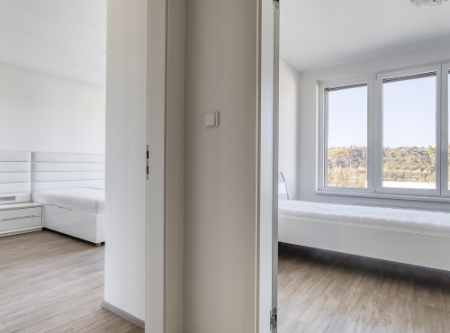 Sale - Sunny 3 bedroom apartment with balcony, Prague 7 - Holešovice